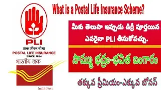 What is a Postal Life Insurance(PLI) Scheme?@srikameswariknowledgebank