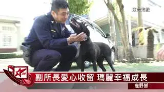 20160303 無聲流浪犬 變身派出所警犬