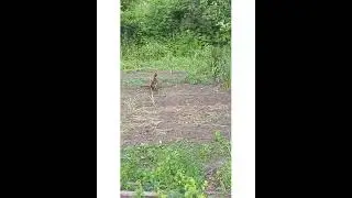 Не бойся красавчик!!!!😀🌞Don't be afraid, handsome!!!