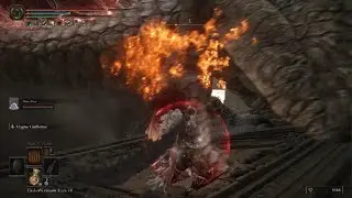 ELDEN RING_dragon fight