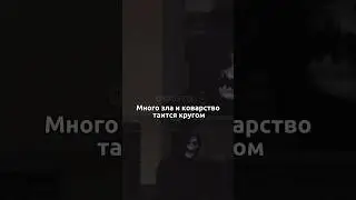 23 августа 2024 г.