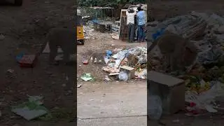 Индия Путтапарти. Помойка в центре это норма? 