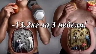 КИЛЛ ЖИР! День 21! Отчёт