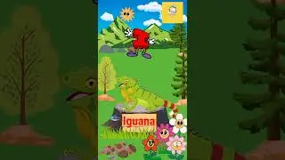 Alphabet Animals || I for Iguana || Iguana