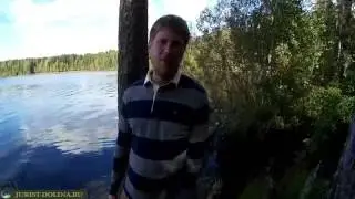 Водоохранная зона земель лесного фонда