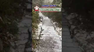 funny clips: Marry Christmas #ask2abi #funnyvideos #trendingshorts #lol #christmas #gift
