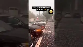 И что делать в такой ситуации?