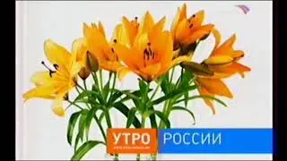 Заставка программы 