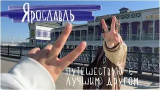 С лучшим другом в Ярославль!