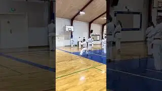 Yamaguchi-Sensei leading the class through kata Heian sandan