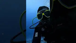 Scuba diving course lakshadweep | best job oriented course 100% placements 