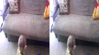 ARI ADAMS IN 3D