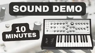 Moog Sub Phatty – 10 Minutes Synth Exploration | Sound Demo (No Talking)