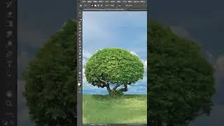 Wow Photoshop Tips 