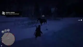 Red Dead Online running collectables DivineNovaQueen's PS4 Broadcast