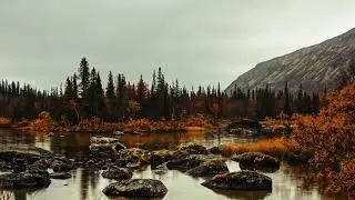 Телеграмм. Почему его 