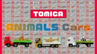 🐻🐼【Japanese TOMICA】ANIMALS Cars🦈🐊