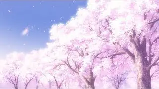 AMV(Цветение Сакуры )