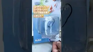 メダカ水槽218 100円ショップのフードキーパーをレビューしてみます　#shorts #メダカ #aquarium #fish