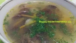 Mushroom soup from mushrooms