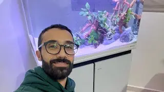 أخيرا بعد مدة طويلة حطيت حوض سمك في المنزل المقاسات 80cmx110cmx40cm