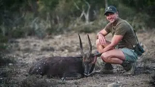 SC Bush Buck 4K