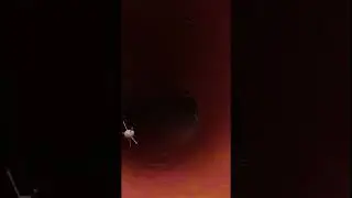 Red Blood Cells Animation