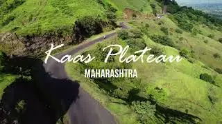 Kaas plateau