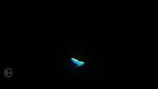 Душа. трейлер