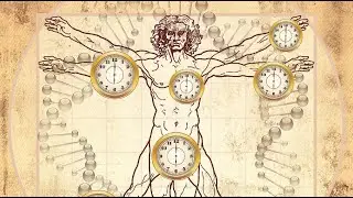 8.6.2. Biological space-time