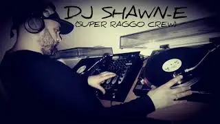 DJ SHAWN-E (Super Raggo Crew)-DUBSTEP MIX 😝
