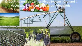 Crops Irrigated by Center Pivot System | Orchard | Vegetable | Nursery | Pastures | Vineyards