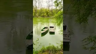 #Alrhein Impressionen 4