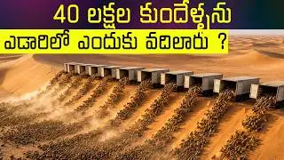 China Released 40 Lakh Rabbits in a Desert… But WHY? | Hidden Reason | Mr Hari Facts