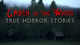 3 Disturbing Cabin in the Woods Horror Stories