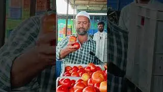 Punganur tomato MSM 🍅🍅🍅 29/09/2024 #punganurtomatomarket #trending #tomato #comedy #tomatomarket