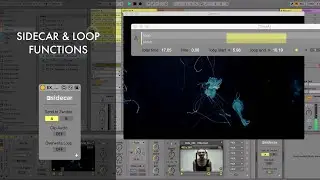 Zwobot Video for Ableton Live - Sidecar Module & Loop Functions