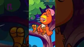 Do Animals Really Dream? | 