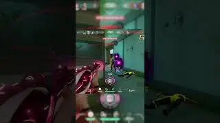 reyna player