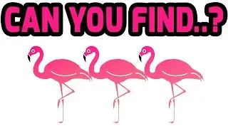 Can You Find It? Only 1% will find the Hidden Flamingo immediately