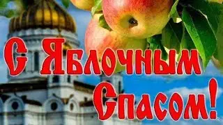 новый монитор / заболели / новые окна