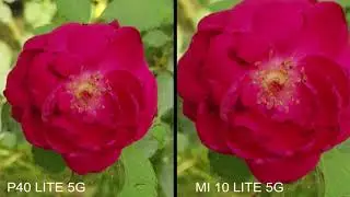 Huawei P40 Lite 5G VS Xiaomi Mi 10 Lite 5G Camera Test Comparison!