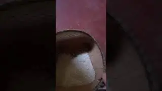 How to fix a cracked phone screen WITH RICE