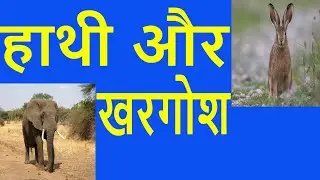 Hathi aur khargosh ki karunabhari kahani/karuna/करुणा करो कष्ट हरो/karuna ka rasta