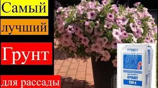 Собралась покупать торф для рассады и обалдела! Агробалт. Цены шок 🤯