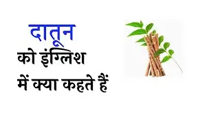 दातून को इंग्लिश में | #Vocabulary #English #viral #ytshorts #shorts #letpractix 