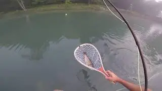 Fishing at Bennett Spring at the Horn- June 4, 2017
