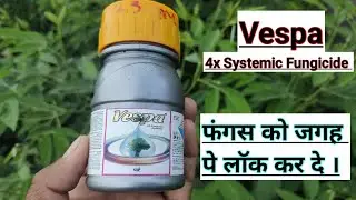propiconazole difenoconazole uses in hindi || vespa fungicide 4x systemic fungicide || a2z farming