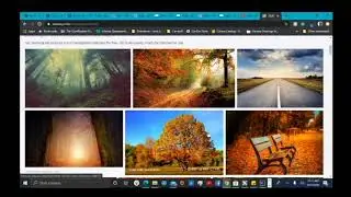 Adding a Row With The Divi Theme