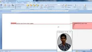 Microsoft Office 2007 Word Review Comment ProtectDocument